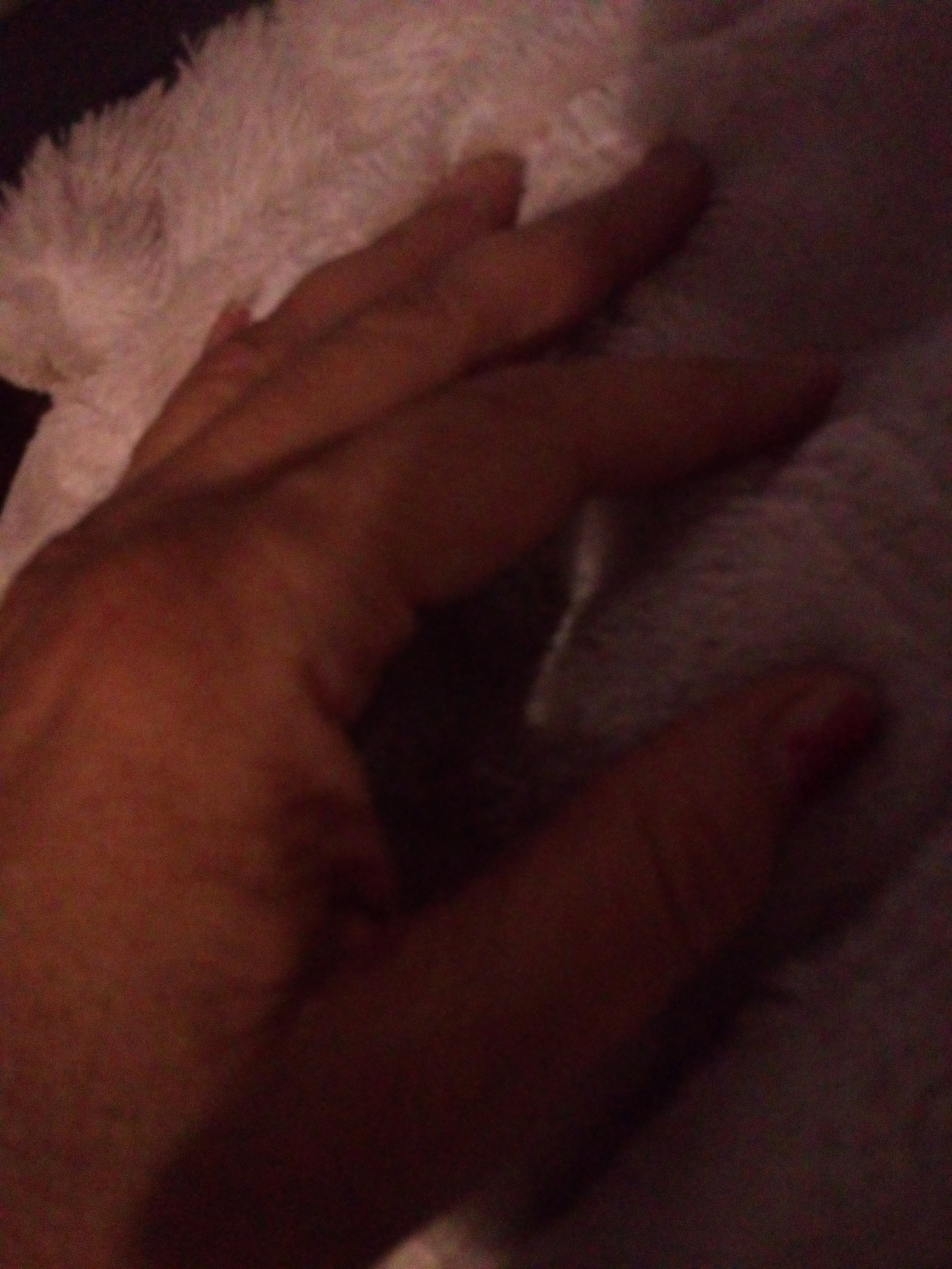 shelleyhunterartwork's Profile Picture